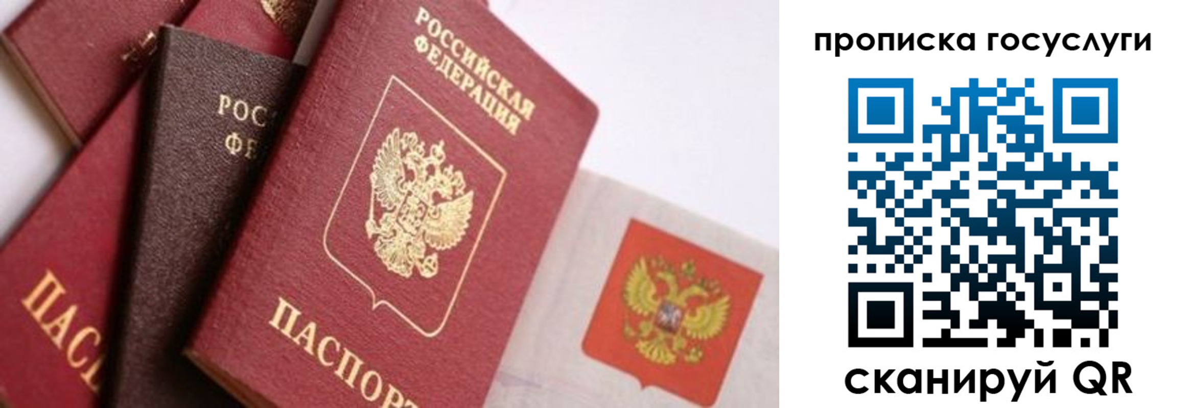 прописка законно в Бородино
